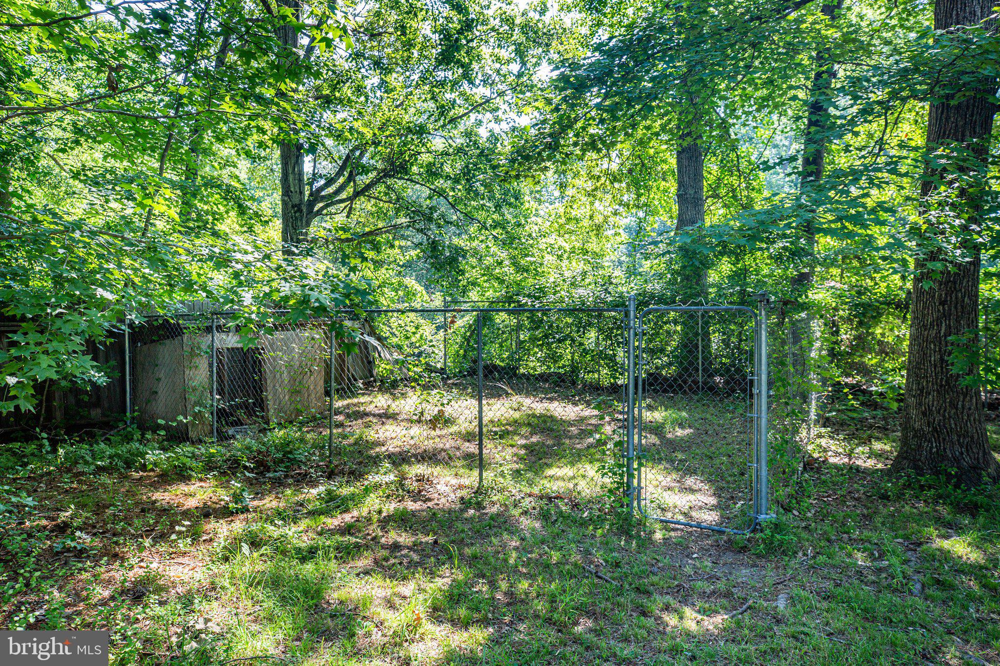 12164 Longleaf Road Ruther Glen, VA 22546 - Photo 35 of 38 Gallery Image 35