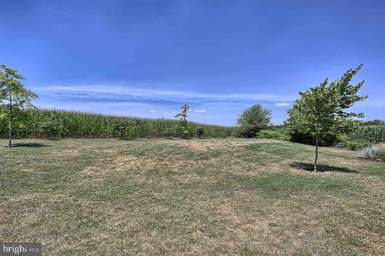 292 Martin Road Carlisle, PA 17015 - Photo 23 of 25 Gallery Image 23