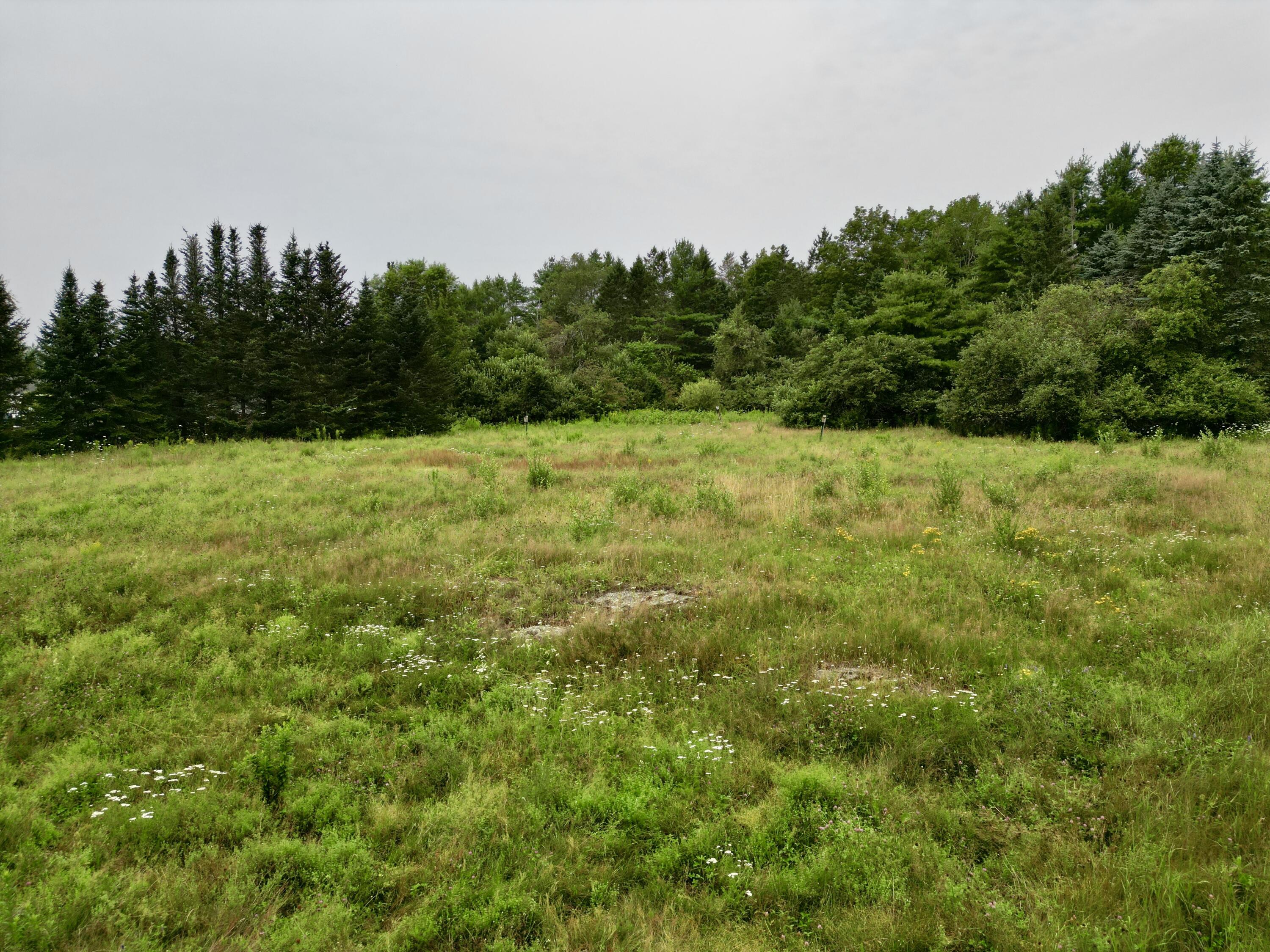 12 Crogan Road Hermon, ME 04401 - Photo 6 of 11 dji_fly_20230727_113126_463_169046799710