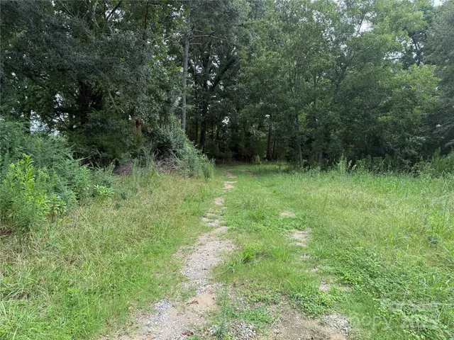a big yard with lots of green space and deers