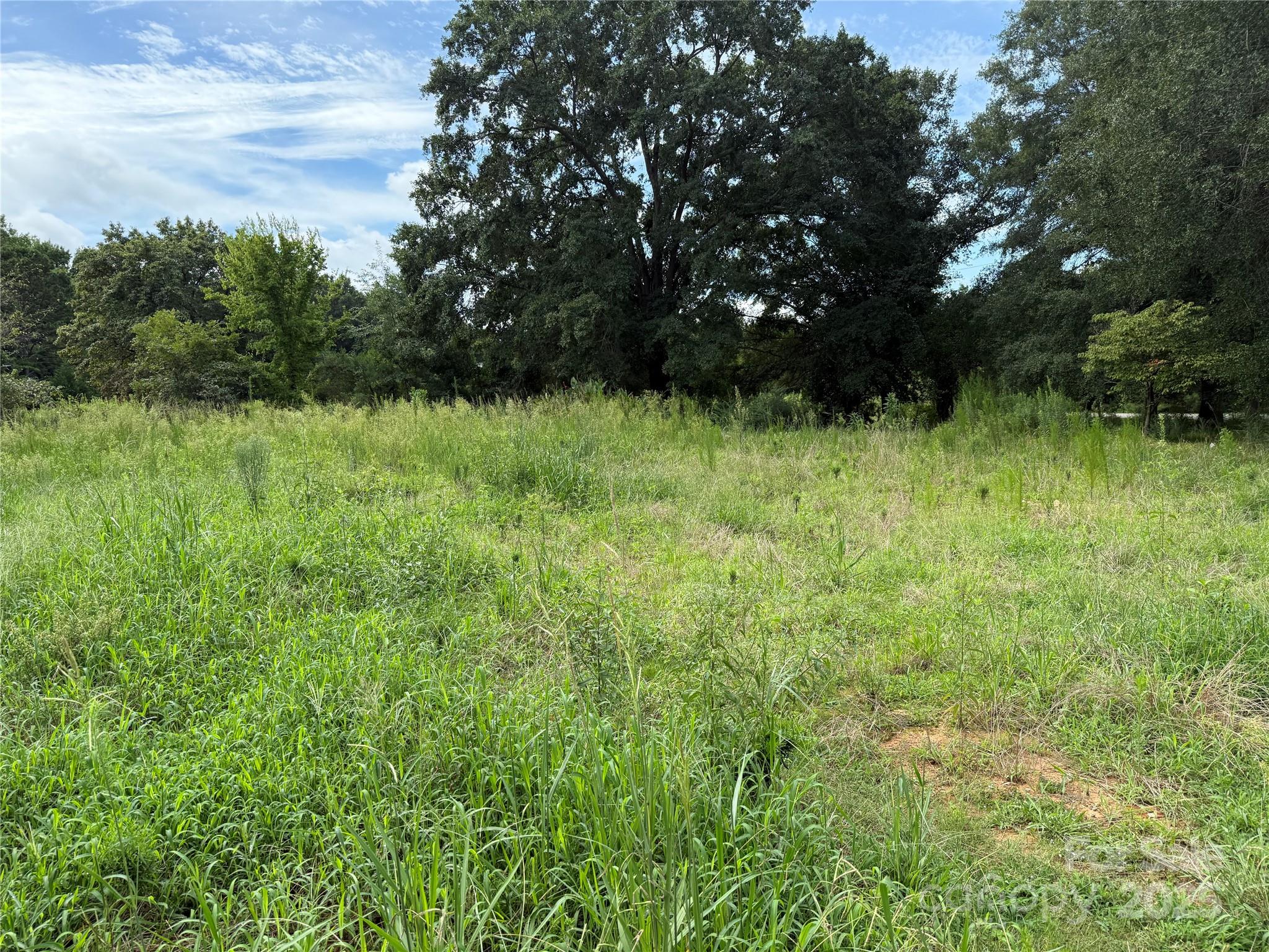 0 Henry Harris Road, Unit 6 Fort Mill, SC 29707 - Photo 13 of 25 a view of outdoor space and yard