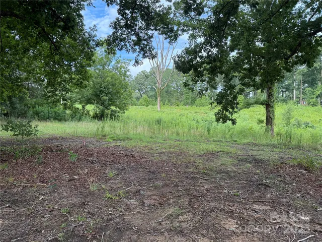 a view of outdoor space with trees all around