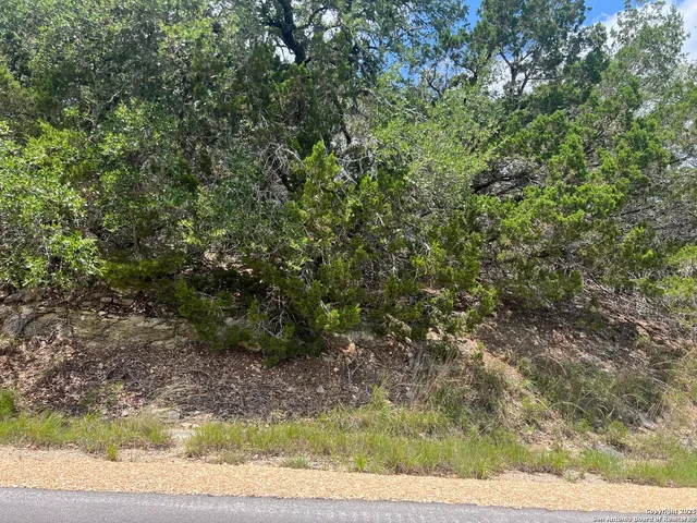 a view of a yard with plants