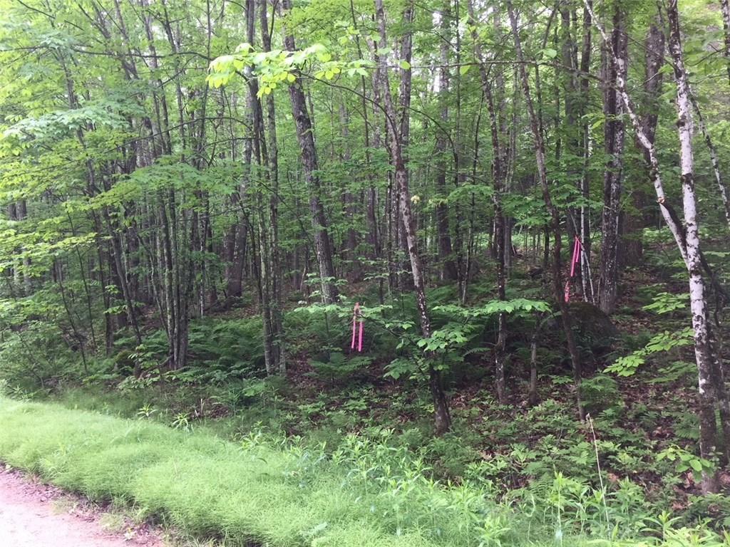 0 North Saunders Road Greene, ME 04236 - Photo 3 of 5 Photo
