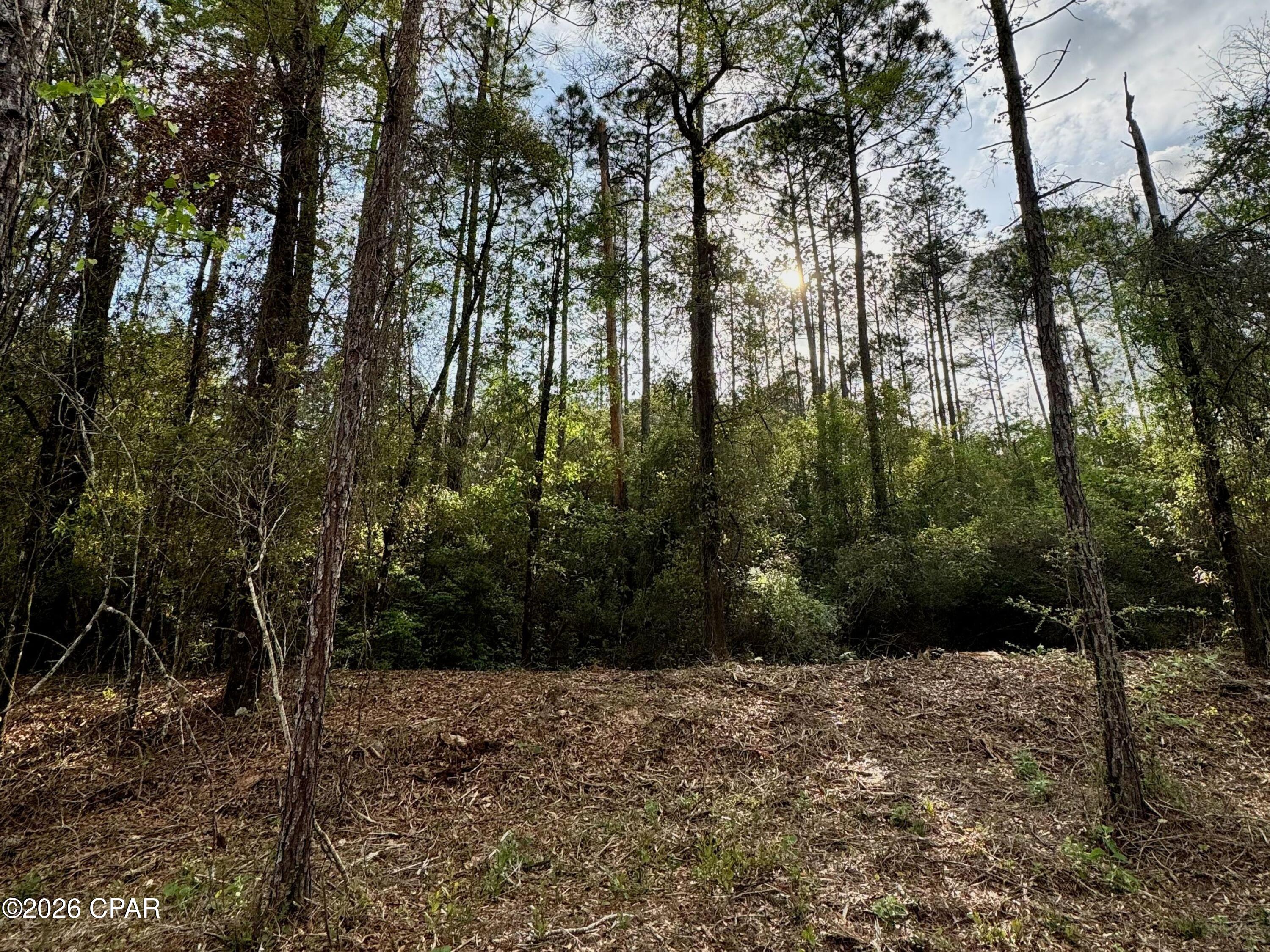 Lot 9 Pleasant Hill Road Bonifay, FL 32425 - Photo 9 of 10