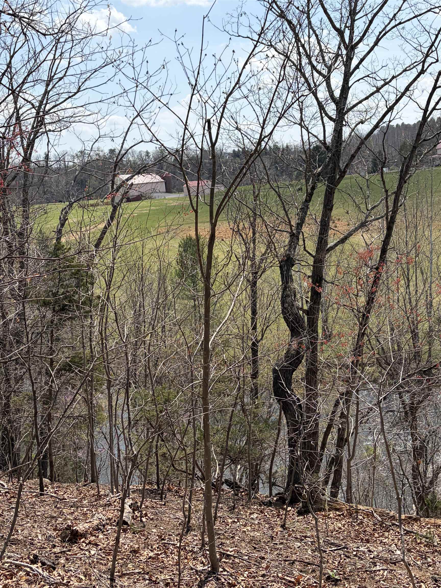 759 Rife's Ford Road Verona, VA 24482 - Photo 62 of 66 a backyard of a house with lots of green space