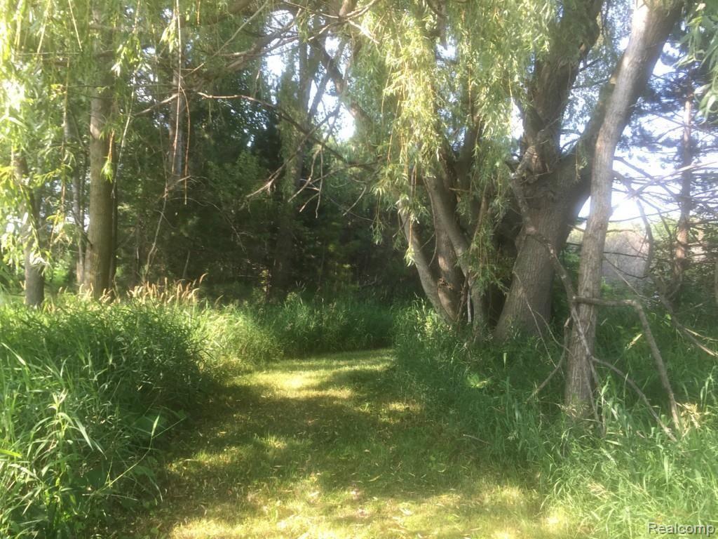 3850 West Oregon Road Lapeer, MI 48446 - Photo 89 of 94 07 638.jpg