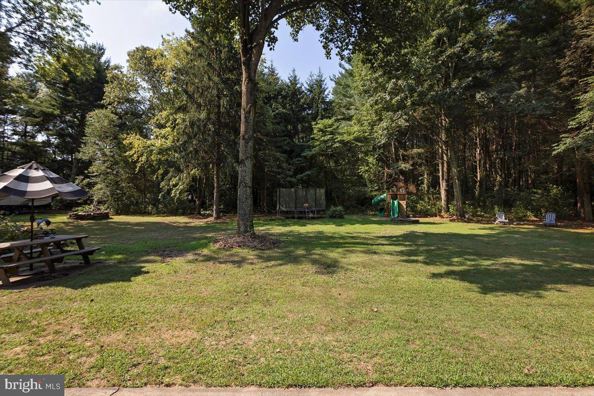 25281 Goldsboro Road Henderson, MD 21640 - Photo 22 of 35 Backyard