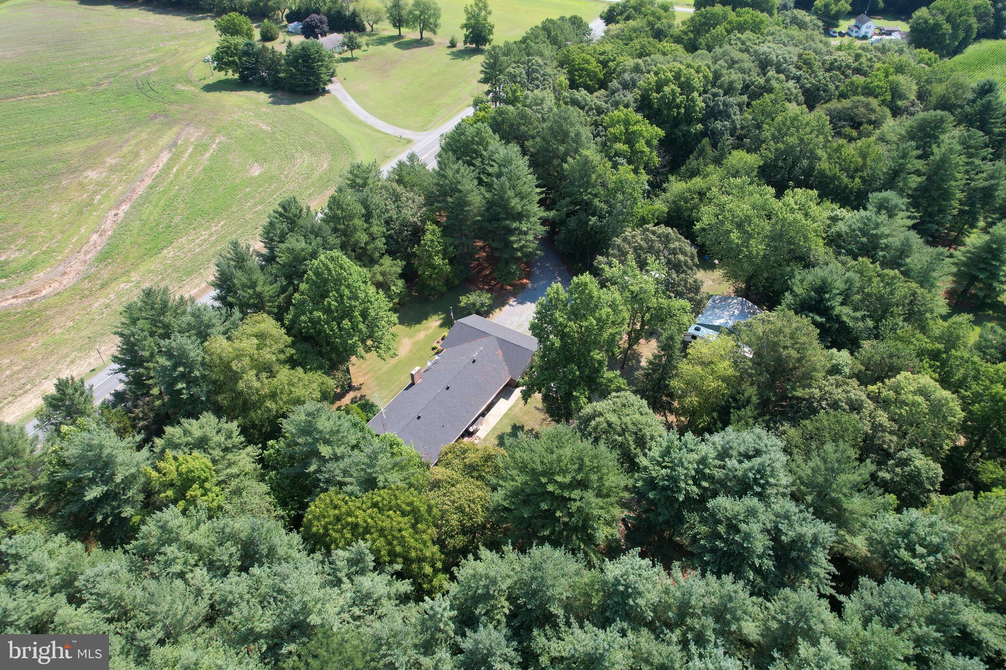 25281 Goldsboro Road Henderson, MD 21640 - Photo 29 of 35