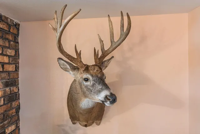 $889,000 | W1702 Golden, Berlin, WI 54923