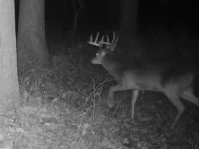 $889,000 | W1702 Golden, Berlin, WI 54923