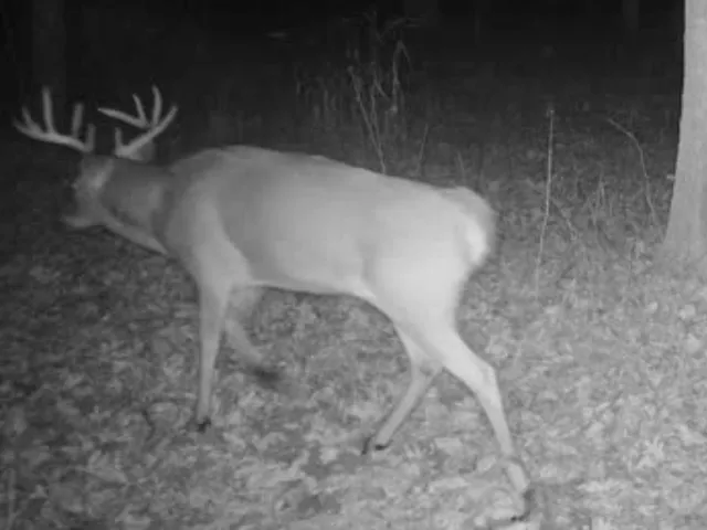 $889,000 | W1702 Golden, Berlin, WI 54923