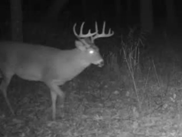 $889,000 | W1702 Golden, Berlin, WI 54923