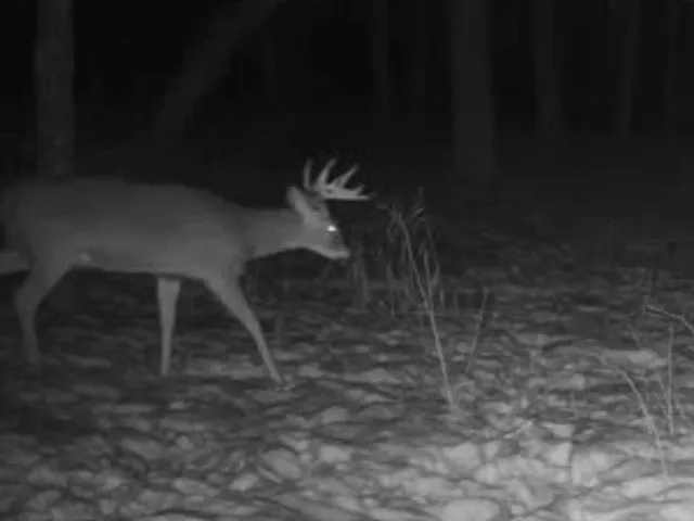 $889,000 | W1702 Golden, Berlin, WI 54923