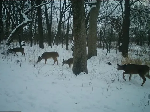 $889,000 | W1702 Golden, Berlin, WI 54923