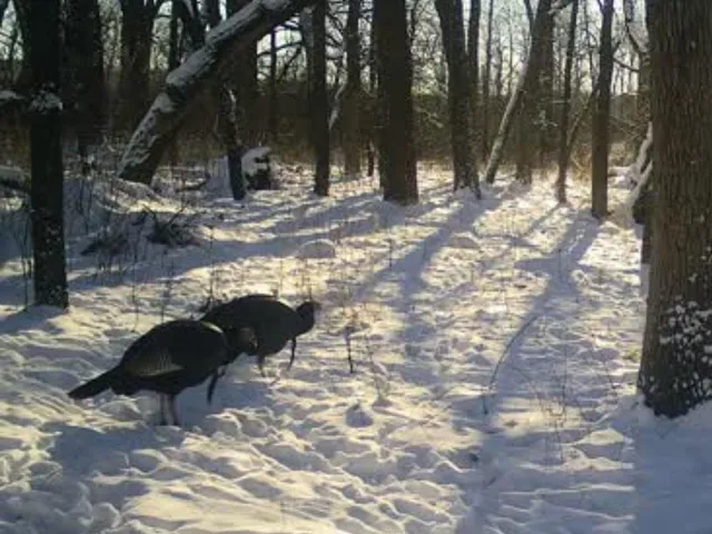 $889,000 | W1702 Golden, Berlin, WI 54923