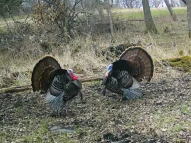 $889,000 | W1702 Golden, Berlin, WI 54923