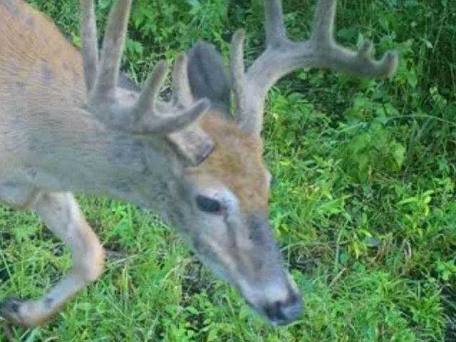 $889,000 | W1702 Golden, Berlin, WI 54923