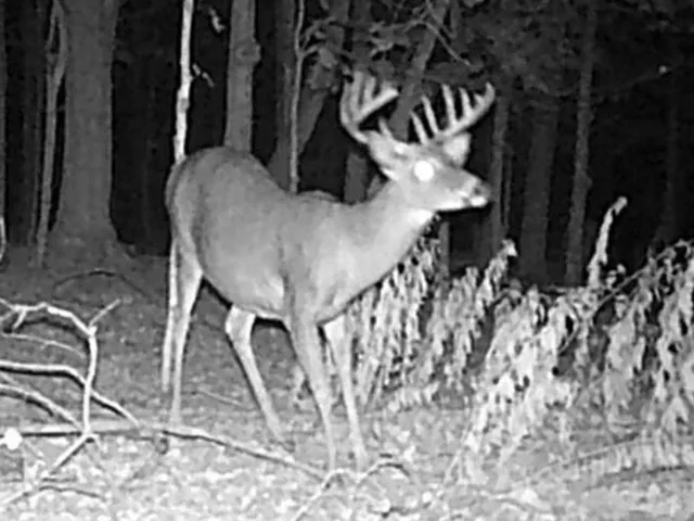 $889,000 | W1702 Golden, Berlin, WI 54923