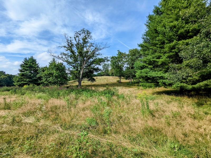 Tbd Red Oak Grove Road Northeast Floyd, VA 24091 - Photo 24 of 33 Gallery Image 24