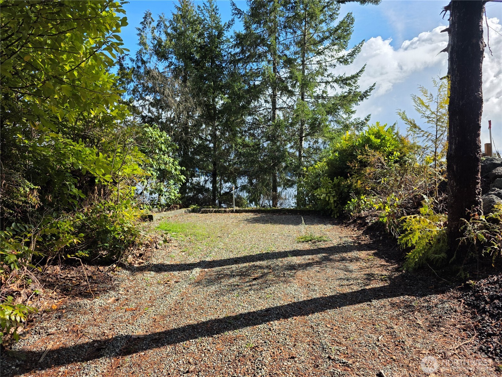 81 Wawa Point Place Brinnon, WA 98320 - Photo 36 of 37 a view of a yard with large trees
