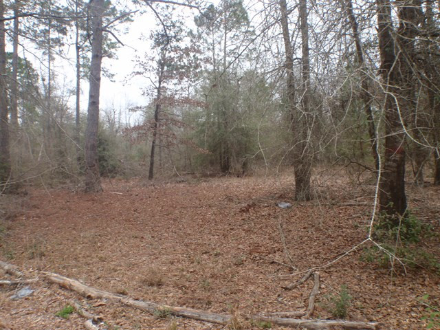 1230 7 Pines Road Barnwell, SC 29812 - Photo 16 of 16 Yard