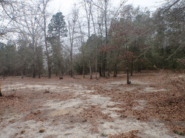 1230 7 Pines Road Barnwell, SC 29812 - Photo 2 of 16 Front Yard