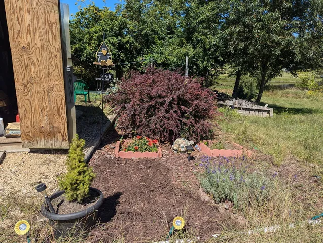 a backyard of a house with lots of green space