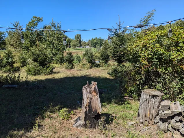 a backyard of a house with yard and outdoor seating