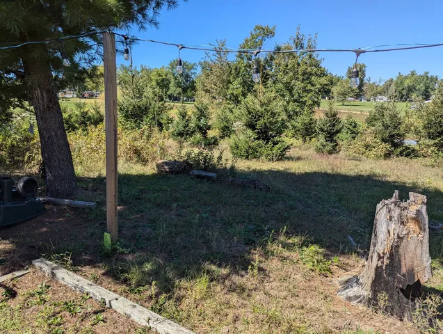 a view of a yard with large trees
