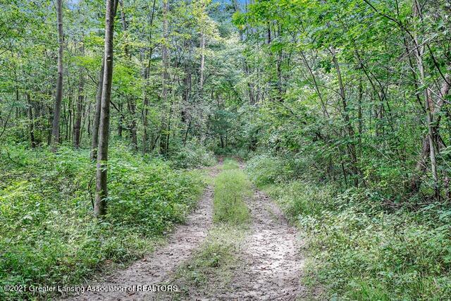 8709 Lansing Avenue Rives Junction, MI 49277 - Photo 41 of 56 _I3A9371
