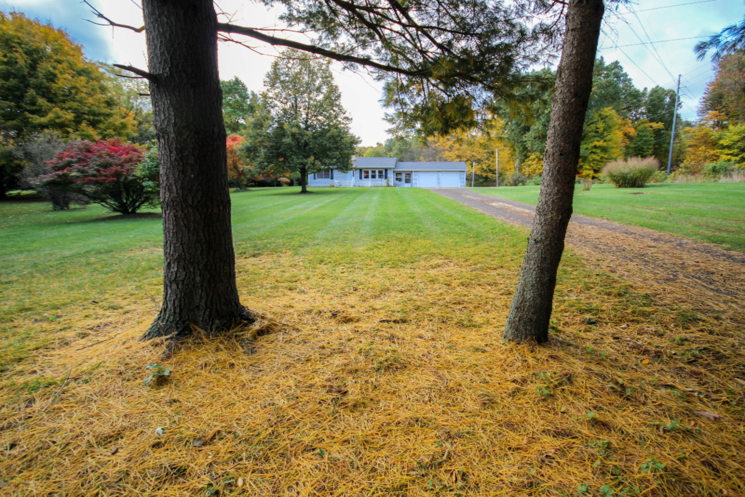 15017 Broadway Road Three Rivers, MI 49093 - Photo 2 of 23 untitled (1 of 23)