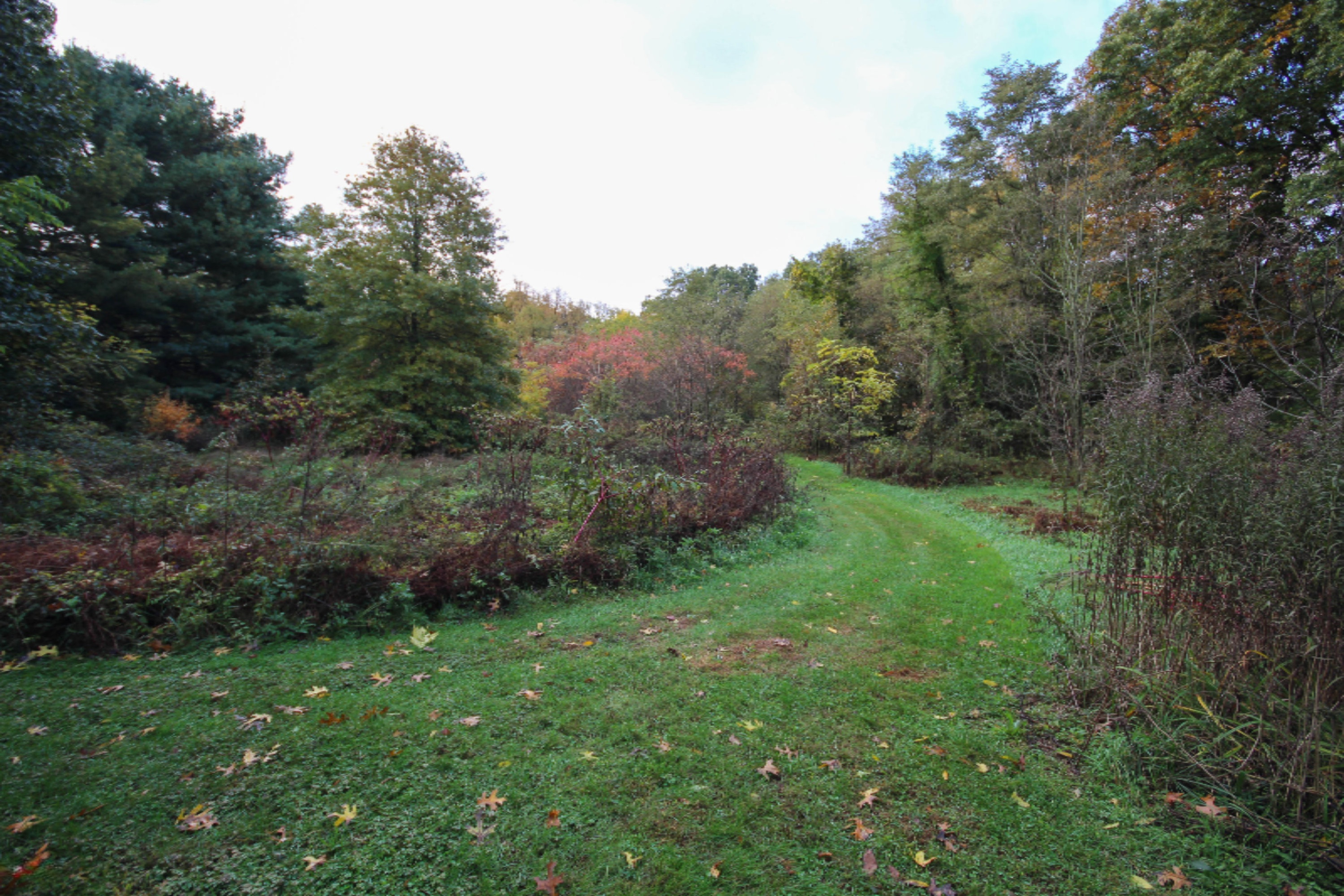 15017 Broadway Road Three Rivers, MI 49093 - Photo 9 of 23 untitled (9 of 23)