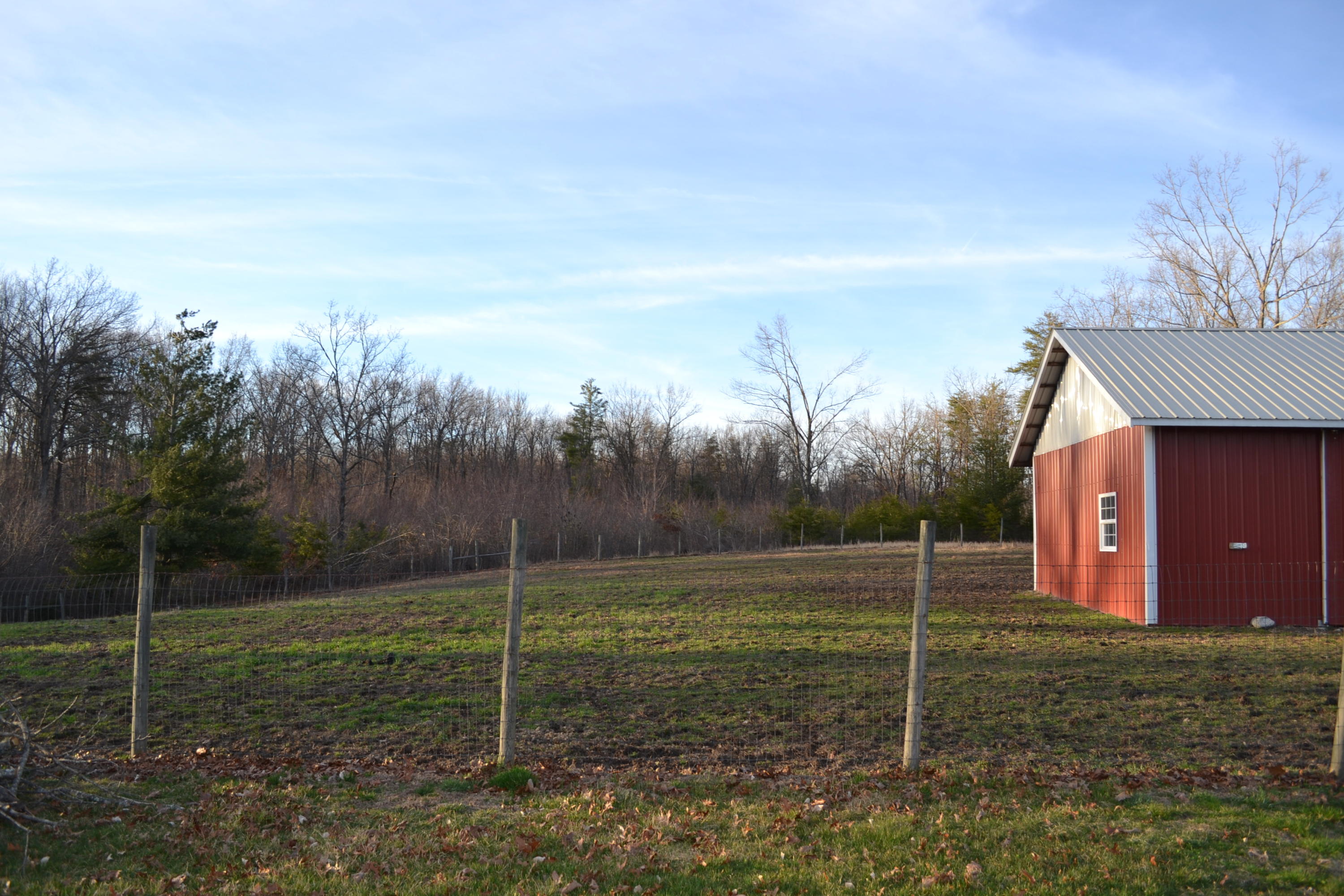 1009 Obed River Road Crossville, TN 38555 - Photo 8 of 24 9 Field and barn.JPG
