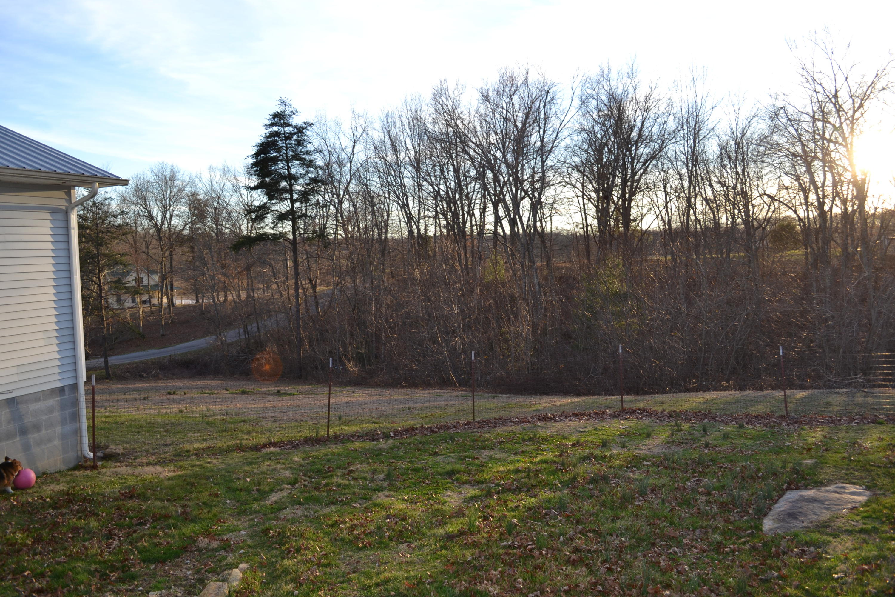 1009 Obed River Road Crossville, TN 38555 - Photo 10 of 24 11 Yard.JPG