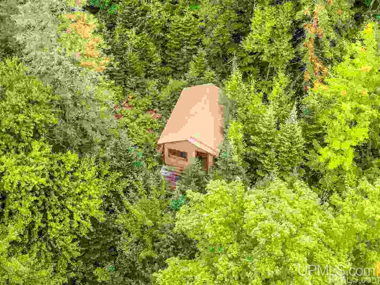 On On Chaney Lake Road Wakefield, MI 49968 - Photo 3 of 18