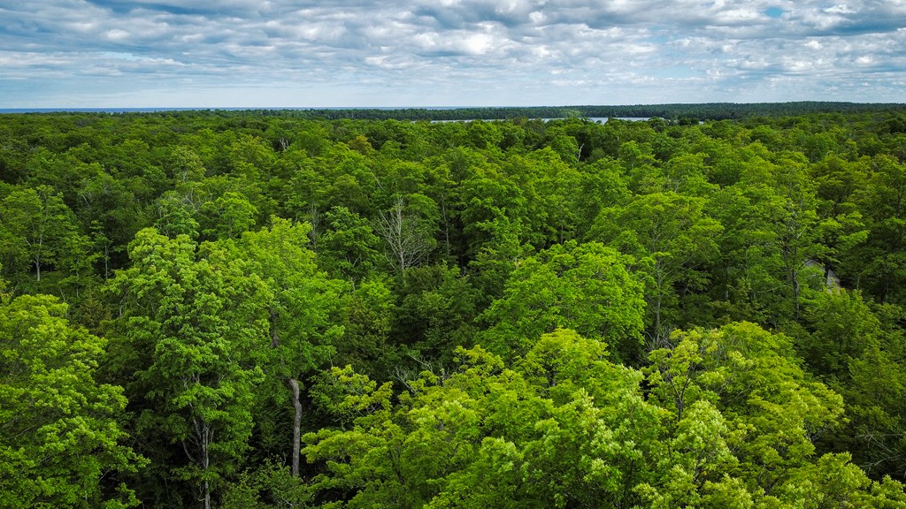 Tbd Lot3 Isle View Road Ellison Bay, WI 54210 - Photo 22 of 25 Gallery Image 22