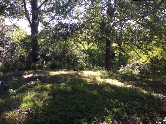 6277 Highway 95 Rock Spring, GA 30739 - Photo 5 of 10 IMG_4095
