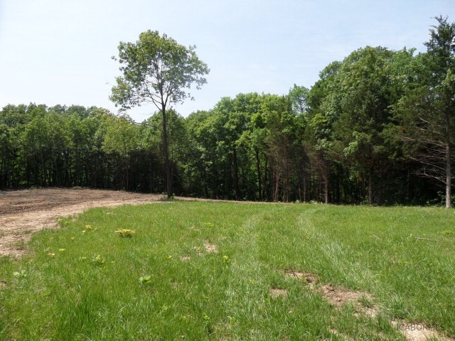 2 Nichols Ridge Fulton, MO 65251 - Photo 4 of 6