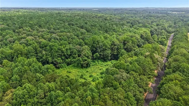 a view of a lush green forest with trees and some houses
