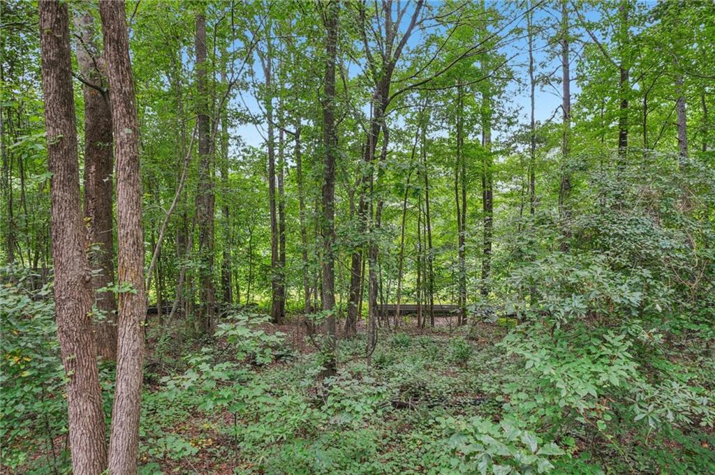 0 Bill Rutledge Road Winder, GA 30680 - Photo 3 of 12