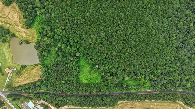 a view of a yard with a tree