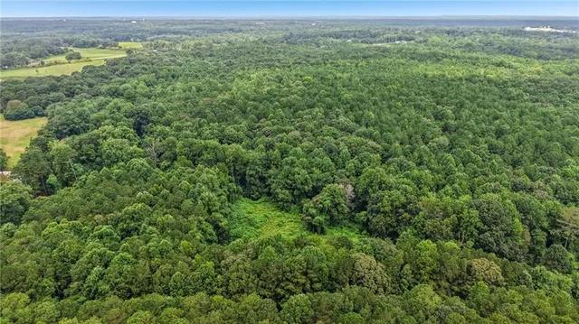 a view of a lush green field with a mountain in the background