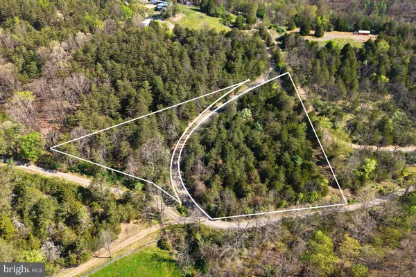 a bird view of a forest