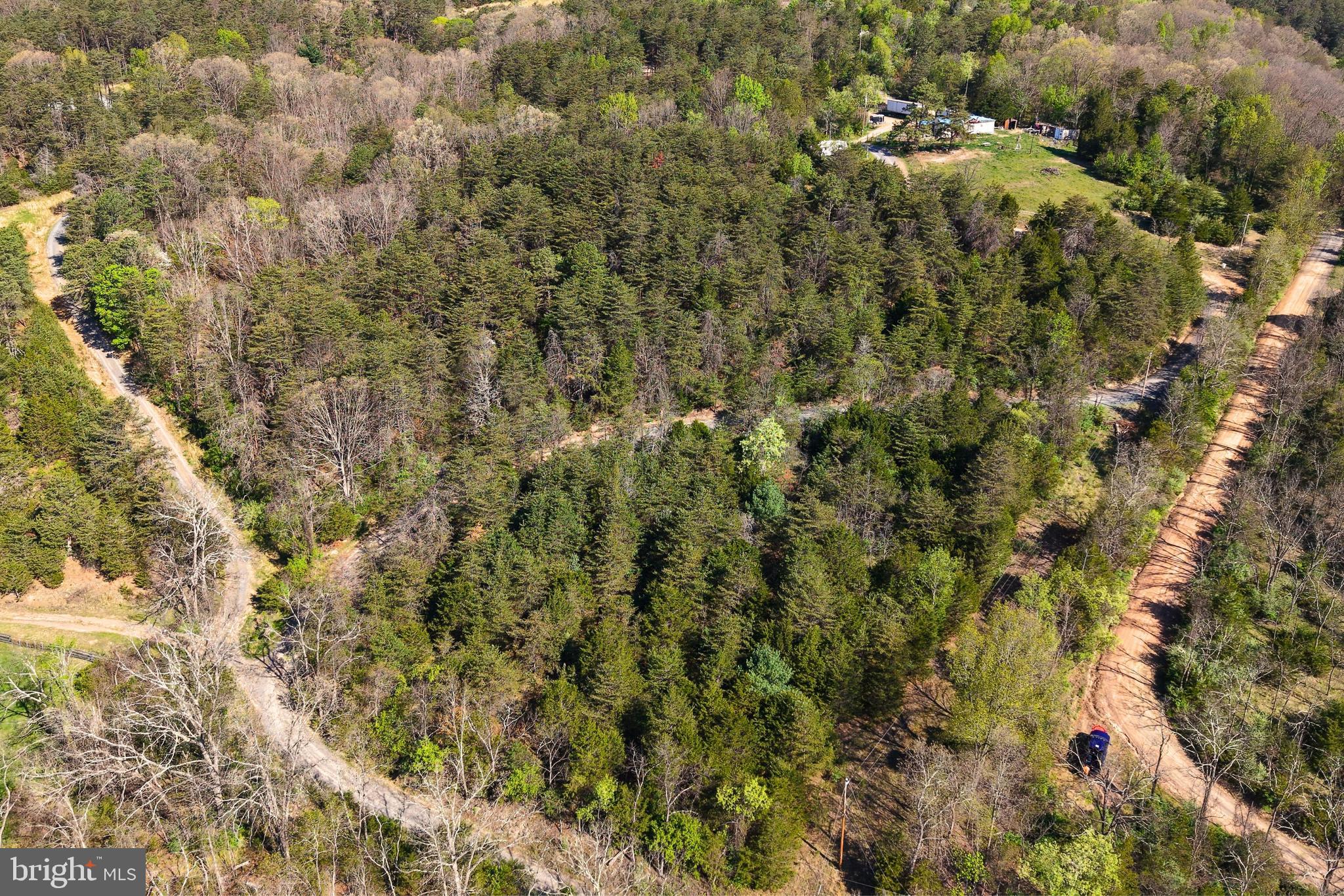 Lot 1 Deep Run Hollow Road Delray, WV 26714 - Photo 12 of 26 a view of a house with a lush green forest