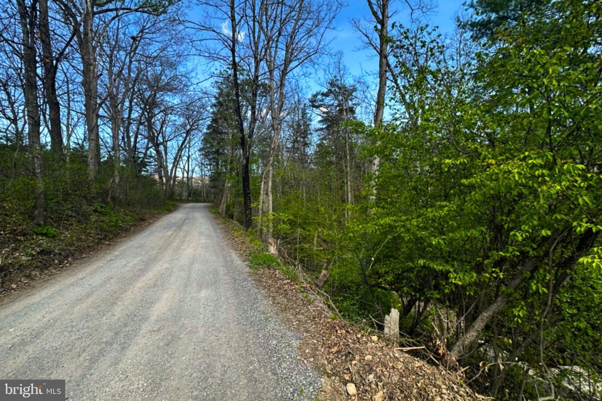 Lot 1 Deep Run Hollow Road Delray, WV 26714 - Photo 13 of 26 a view of a pathway of a park
