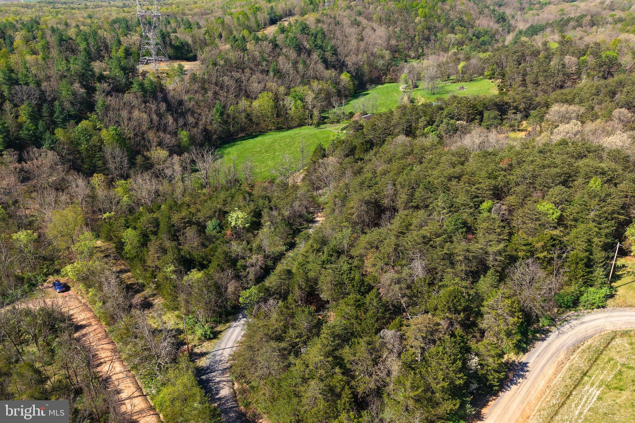Lot 1 Deep Run Hollow Road Delray, WV 26714 - Photo 14 of 26 a view of a forest with a tree