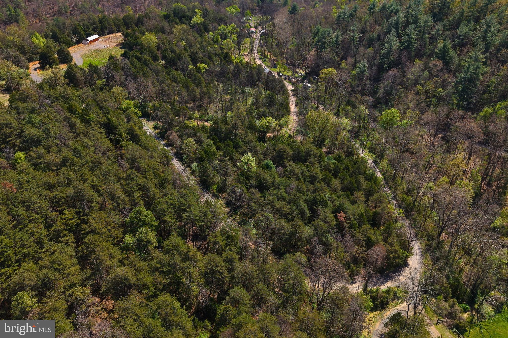 Lot 1 Deep Run Hollow Road Delray, WV 26714 - Photo 24 of 26 a view of a forest with a houses