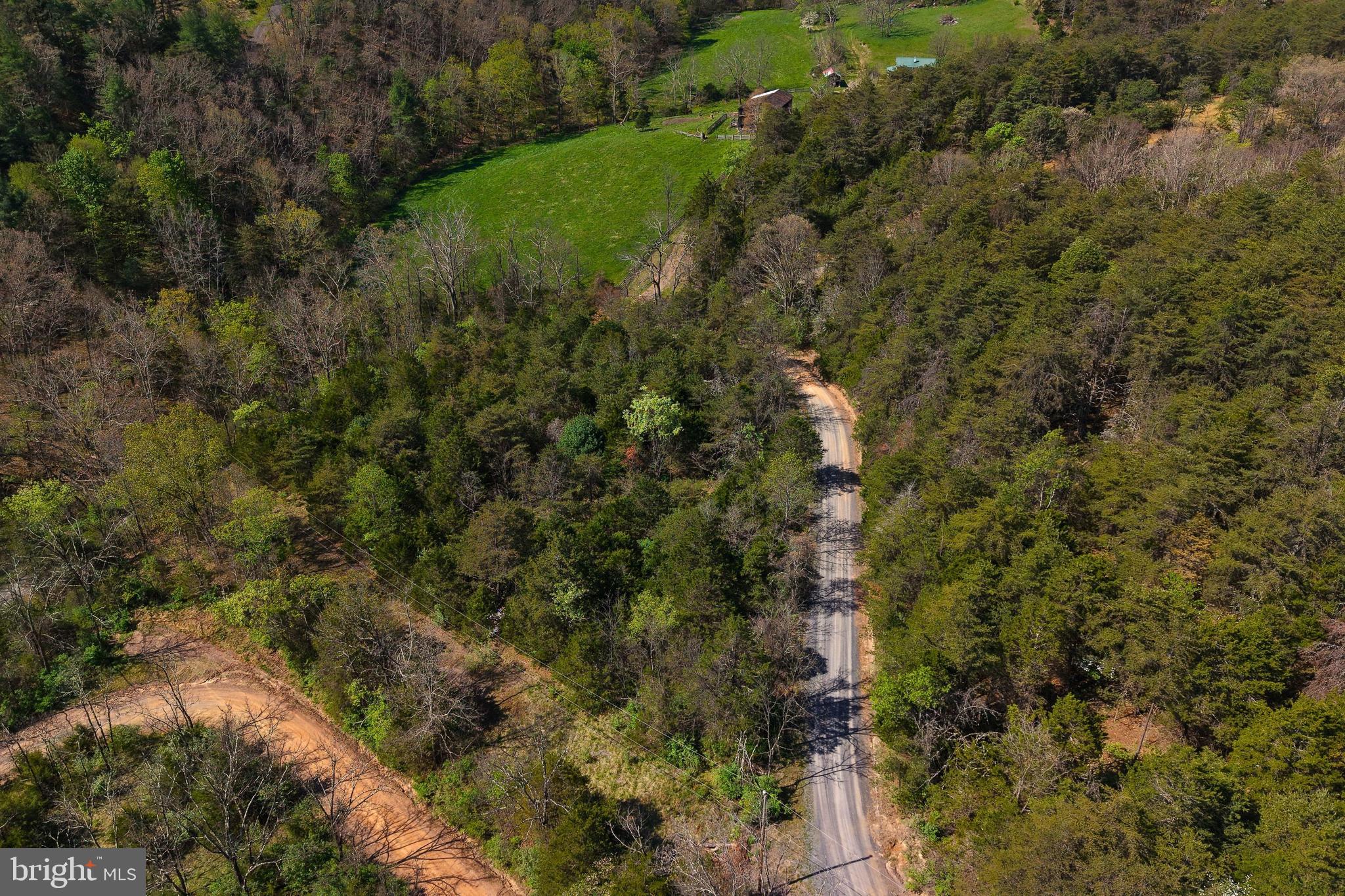 Lot 1 Deep Run Hollow Road Delray, WV 26714 - Photo 26 of 26 a view of a house with a lush green forest