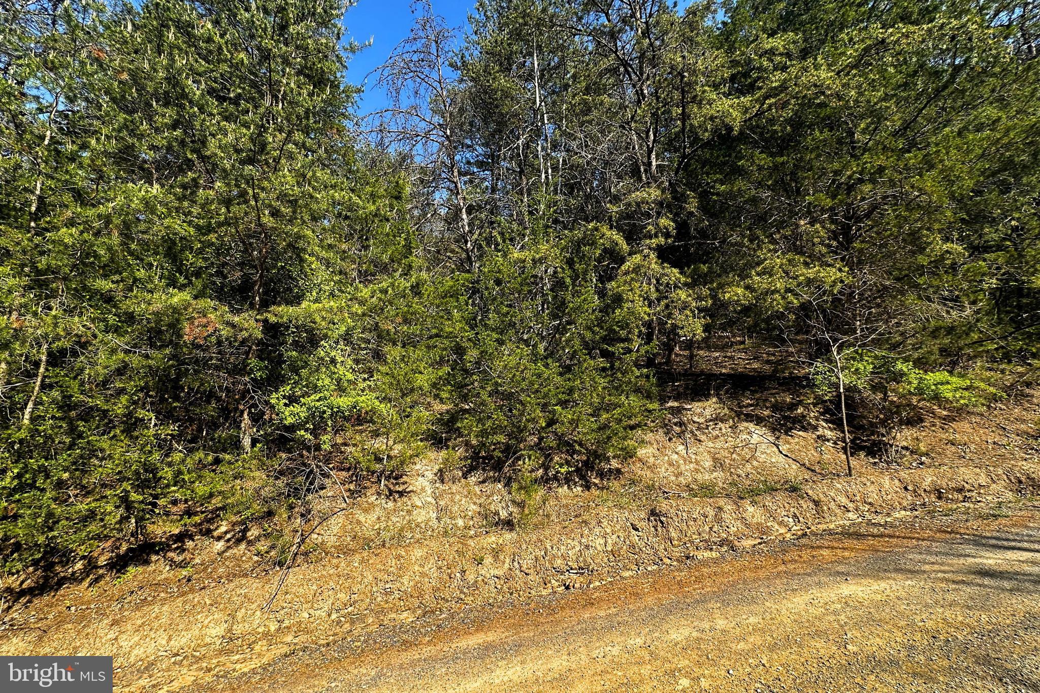 Lot 1 Deep Run Hollow Road Delray, WV 26714 - Photo 8 of 26 a view of a yard with trees